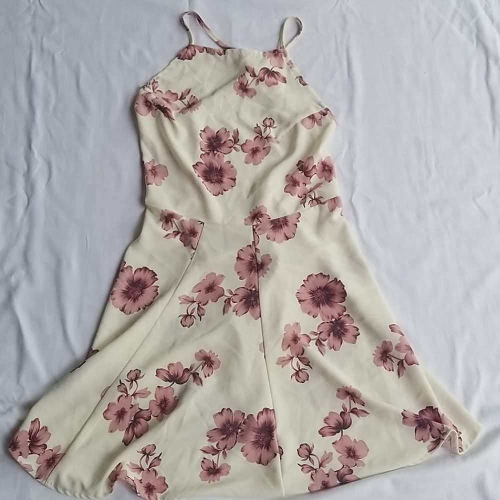 Brandy melville cherry blossoms dress